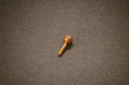 Schilke Trumpet Water Key Screw, Gold