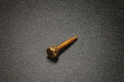 Schilke Trumpet Third Valve Slide Stop Screw, Gold
