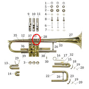 Bach Trumpet Model Prelude and TR500 Brace Assembly, Valve to Bell
