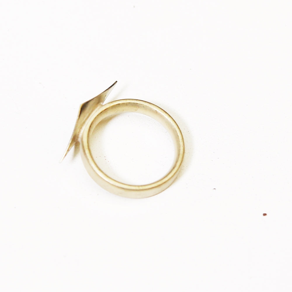 Bach Trumpet Cornet Stradivarius 3rd Slide Ring Assembly, Nickel