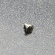 Bach Stradivarius Trumpet Trigger Push Rod Retaining Screw, Nickel