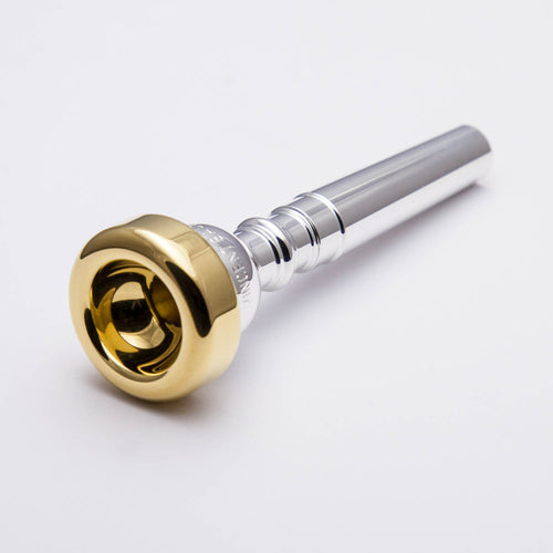 Mouthpiece Express.com