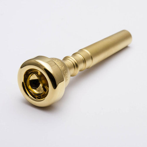 Mouthpiece Express.com