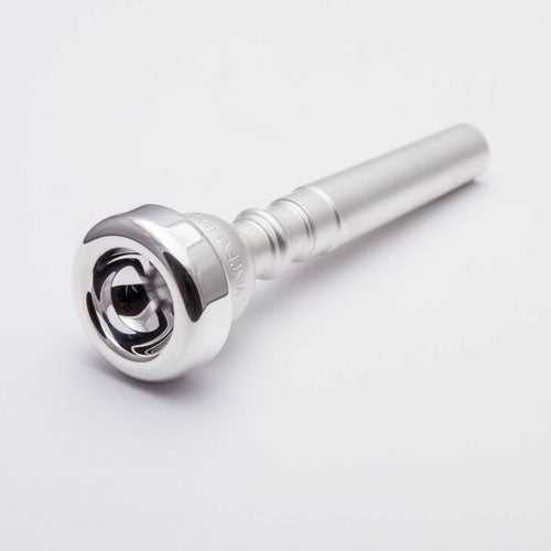 Mouthpiece Express.com
