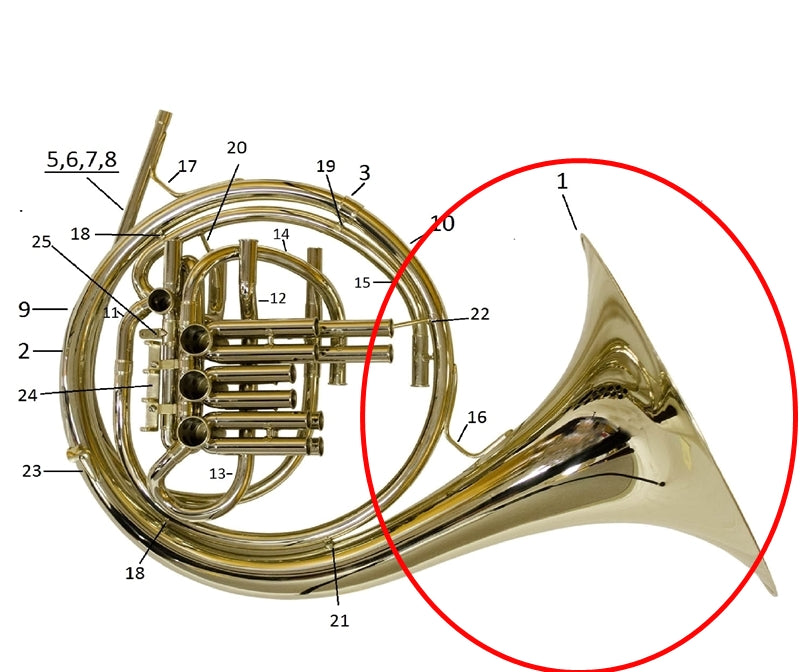 Conn 8D Double French Horn Bell with Engraving