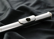Haynes "N" Nagog Cut Solid Sterling Silver Tube, Lip Plate & Crown with 14K Rose Gold Riser