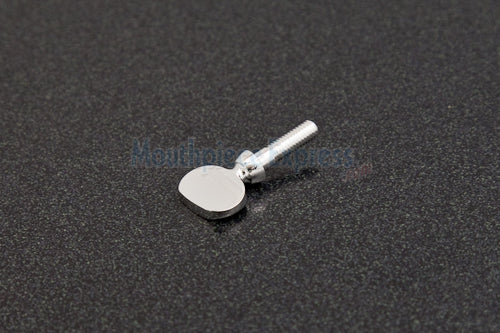 Yamaha Euphonium/Sousaphone Neck Receiver Screw, Silver Plated  TS875S