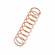 Schilke Trumpet Valve Spring(1)