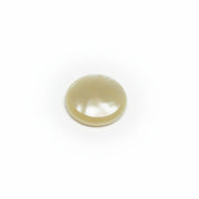 Eastman Trumpet Finger Button Pearl (1) ETR420