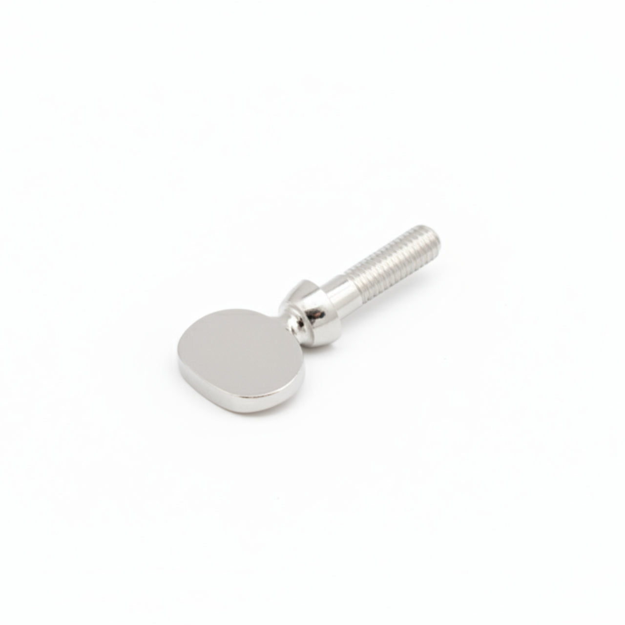 Yamaha Euphonium/Sousaphone Neck Receiver Screw, Silver Plated  TS875S